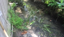 Mẹ hoảng hồn phát hiện con trai 13 tuổi tử vong trong tư thế úp mặt dưới ao